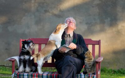 Pet as Therapy visiting Bernash