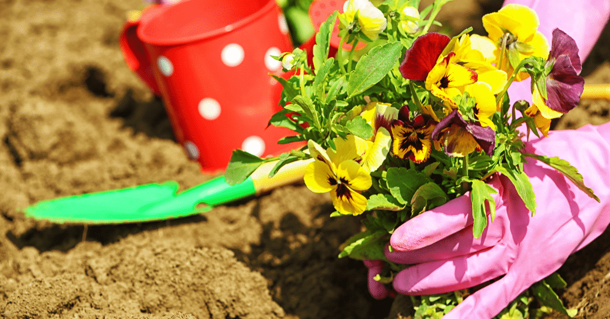 Close up of hands gardening