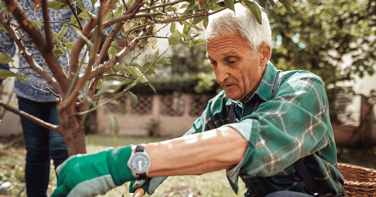 Man planting a tree