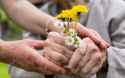 What is Palliative Care and What are the Options Within Bristol?