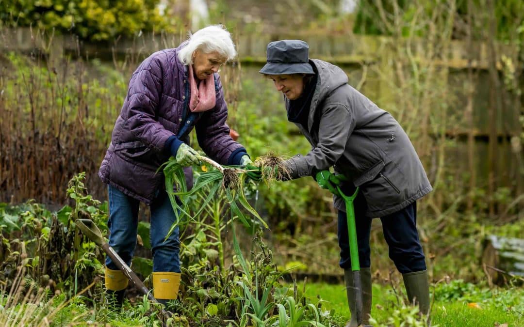 gardening for elderly