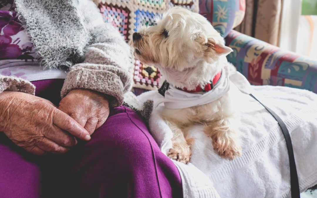 The Impact of Pet Therapy on Senior Health and Happiness